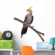Parrot Perch Wall Decal