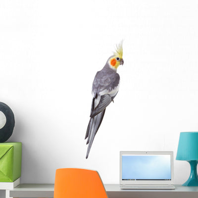 Yellow Corella Parrot Wall Decal shown on a wall