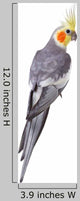 Yellow Corella Parrot Wall Decal