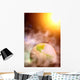 abstract photo of surreal earth and solar system Wall Mural