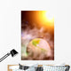 abstract photo of surreal earth and solar system Wall Mural