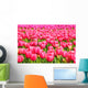 Tulips Field Wall Mural
