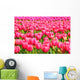 Tulips Field Wall Mural