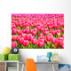 Tulips Field Wall Mural