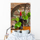 Bottle Wine Vine
