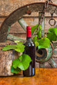 Bottle Wine Vine