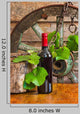 Bottle Wine Vine