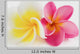 2 Flower Wall Decal