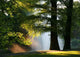 Sunset Park Wall Decal