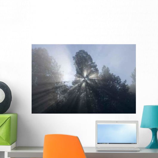 Meditativer Sonnenaufgang Wall Decal