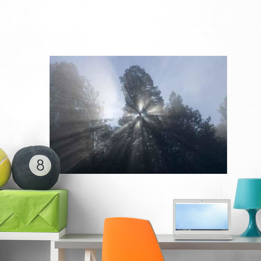 Meditativer Sonnenaufgang Wall Decal
