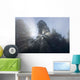 Meditativer Sonnenaufgang Wall Decal