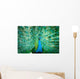 Portrait Peacock with Feathers