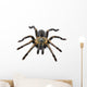 Thai Zebra Tarantula (Haplopelma albostriatum) Wall Decal