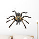 Thai Zebra Tarantula (Haplopelma albostriatum) Wall Decal