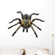 Thai Zebra Tarantula (Haplopelma albostriatum) Wall Decal