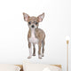 Chihuahua Wall Decal