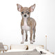 Chihuahua Wall Decal