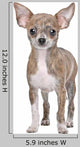 Chihuahua Wall Decal