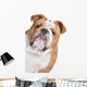 English Bulldog Face Wall Decal