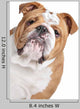 English Bulldog Face Wall Decal