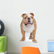English Bulldog Wall Decal