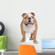 English Bulldog Wall Decal
