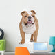 English Bulldog Wall Decal