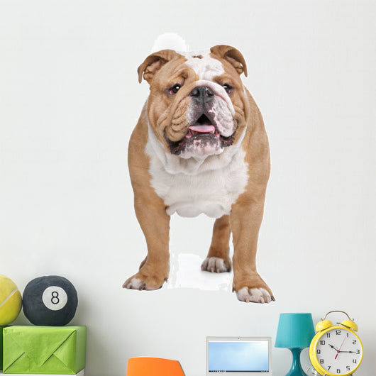 English Bulldog Wall Decal