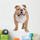 English Bulldog Wall Decal
