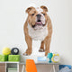 English Bulldog Wall Decal