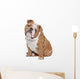 English Bulldog Wall Decal