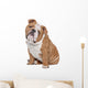 English Bulldog Wall Decal