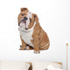 English Bulldog Wall Decal