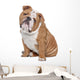English Bulldog Wall Decal