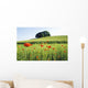 Poppy Field Wall Decal