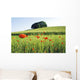 Poppy Field Wall Decal