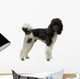 Pudel Wall Decal