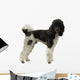 Pudel Wall Decal
