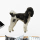Pudel Wall Decal