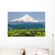 Mount Hood and Hood Wall Mural