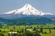 Mount Hood and Hood Wall Mural
