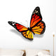 Yellow-orange Butterfly White Wall Decal