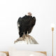 Andean Condor.  Isolated over White Wall Decal