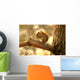 Squirrel Wall Mural