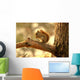 Squirrel Wall Mural