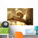 Squirrel Wall Mural