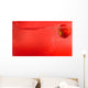 Apple Red Water Wall Mural