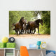 Herd Horses Wall Mural