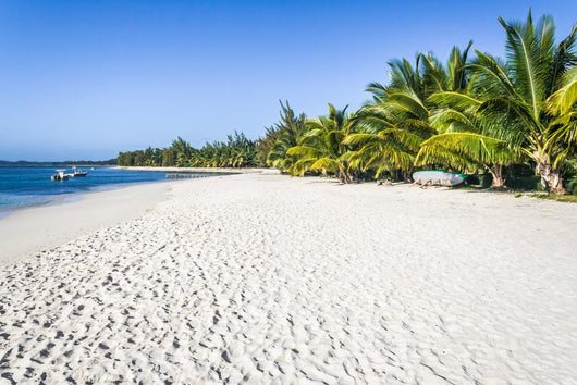 White Sand Beach Wall Mural